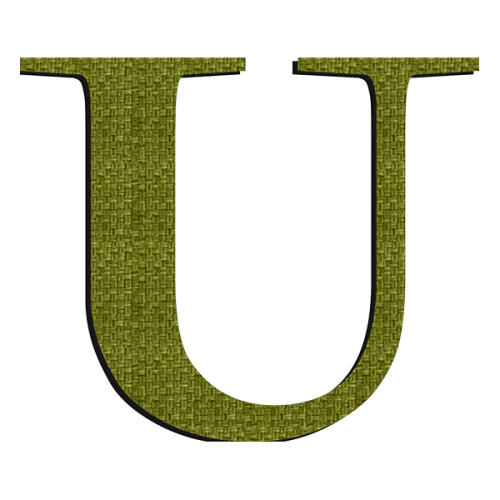 U Nicolas Cochin M 15 x 13 cm