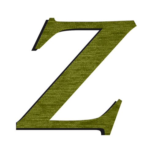 Z Nicolas Cochin M 15 x 13 cm