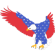 US EAGLES 2